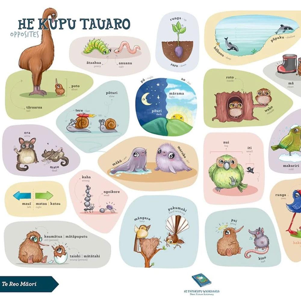 Te Reo Māori - Opposites A2 Wall Poster