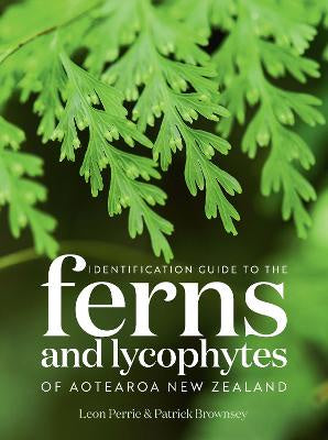 Identification Guide to the Ferns and Lycophytes of Aotearoa NZ